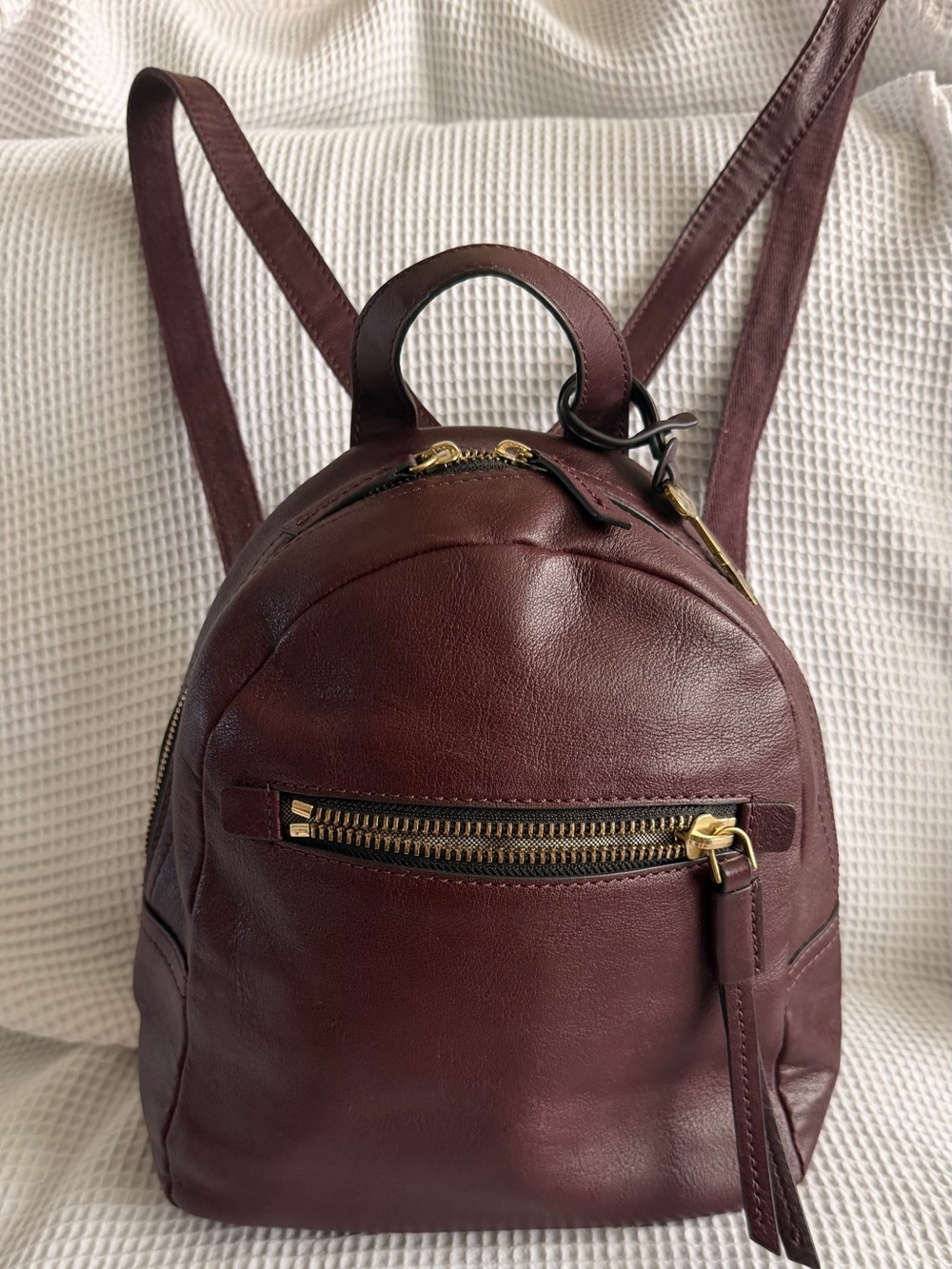 Fossil Megan Leather Small Backpack in a deep fig-purple shade